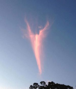 Ste Faustine à l'Ange exécuteur de la colère de Dieu Ange